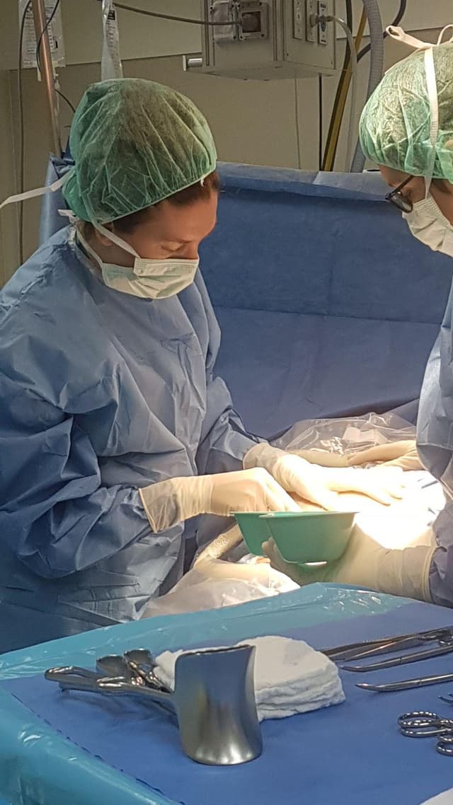 ד״ר מאיה טורם